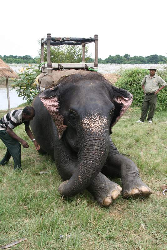 India & Nepal 2011 - 0575